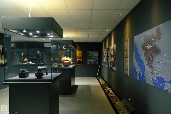 Arheološki muzej Vinča